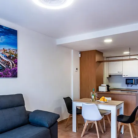 Cosy 2 Apartamento Costa Adeje (Tenerife)